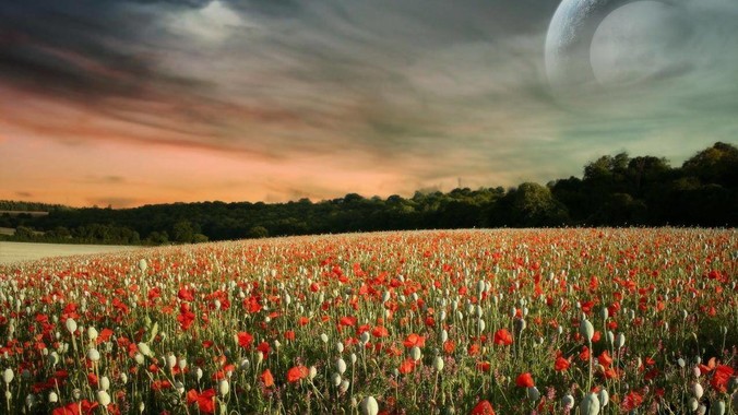 &ldquo;擦边&rdquo;哪有AI编程香？马斯克终于想通了_Grok_OpenAI_模型